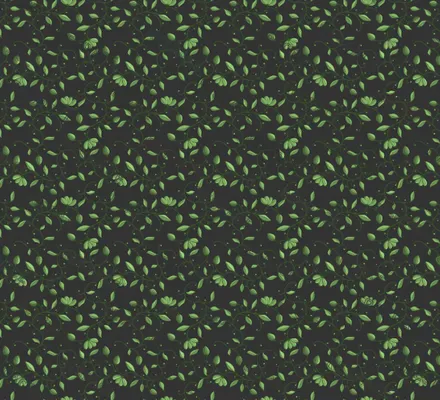 Арт. CLAS-05-2 | Обои | Финист