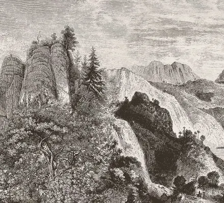 Арт. CLAS-44-1 | Обои | Готфелл