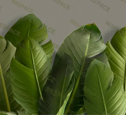 Арт. FLO-45 | Обои | Пальмира