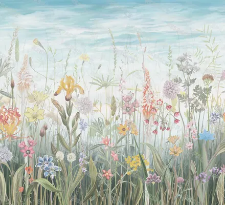 Арт. FLO-64 | Обои | Майский луг