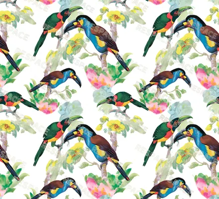 Арт. FLO-18 | Обои | Борнео