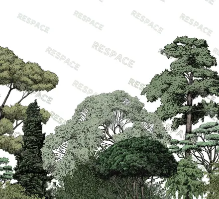 Арт. CLAS-51 | Обои | Уинфелл