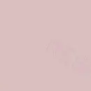 Арт. COMP-4-02 | Обои | Компаньон 4-02