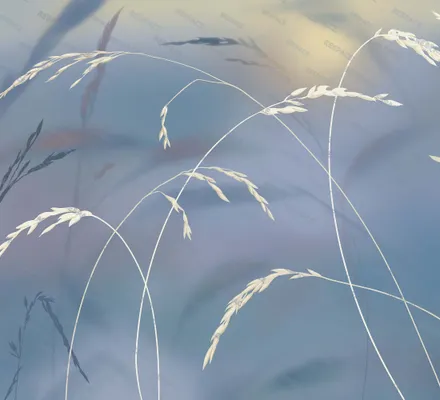 Арт. NAT-24 | Обои | Над рекой