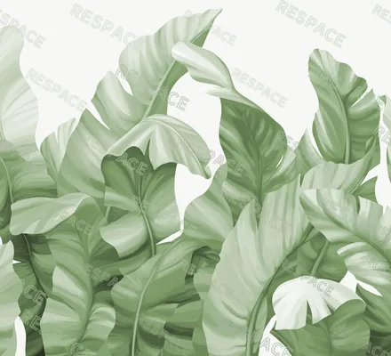 Арт. FLO-79 | Обои | Гермиона (Цветовая вариация №5)