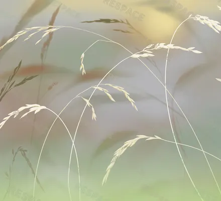 Арт. NAT-24 | Обои | Над рекой (Цветовая вариация №5)