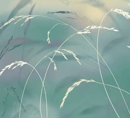 Арт. NAT-24 | Обои | Над рекой (Цветовая вариация №4)