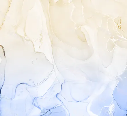 Арт. INK-12 | Обои | Шампань (Цветовая вариация №2)