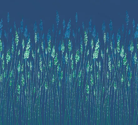 Арт. MOD-67 | Обои | Ситари