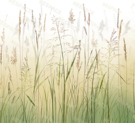 Арт. WAT-28 | Обои | Колосок