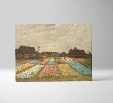 Арт. CAN-160 | Интерьерные картины | Луковичные поля (Прямоугольник)