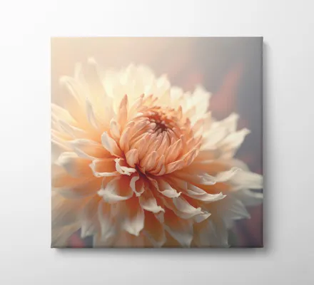 Арт. CAN-162 | Интерьерные картины | Георгин (Квадрат)