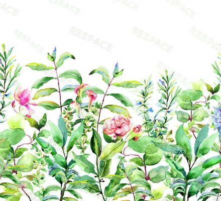 Арт. FLO-27 | Обои | Ницца