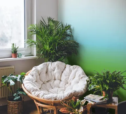 Арт. GRAD-02 | Обои | Тропики