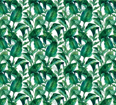 Арт. FLO-34 | Обои | Тропик Козерога