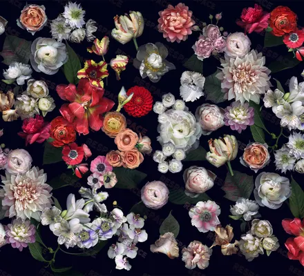 Арт. FLO-41 | Обои | Жорж Санд