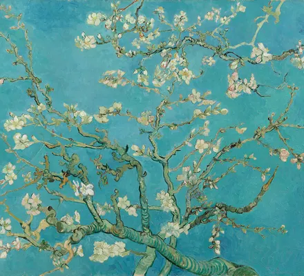 Арт. CLAS-44 | Обои | Цветущий миндаль