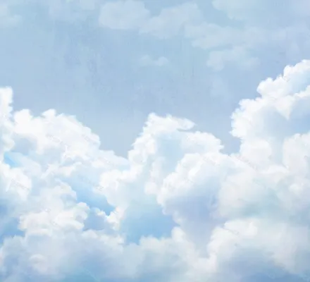 Арт. NAT-14 | Обои | Зефир