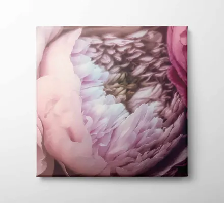 Арт. CAN-58 | Интерьерные картины | Пион (Квадрат)