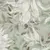 Арт. FLO-70 | Обои | Мединилла (Цветовая вариация №4)