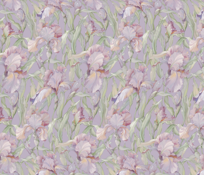 Irise Lilac