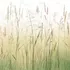 Арт. WAT-28 | Обои | Колосок (Цветовая вариация №1)